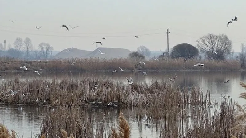 ПФ «Верховье»