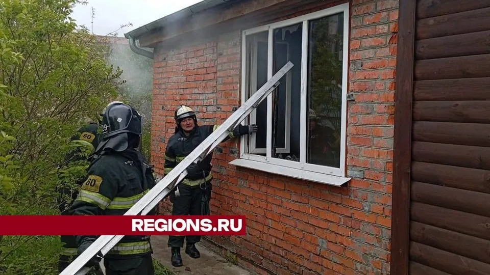 Фото: пресс-служба Администрации городского округа Луховицы