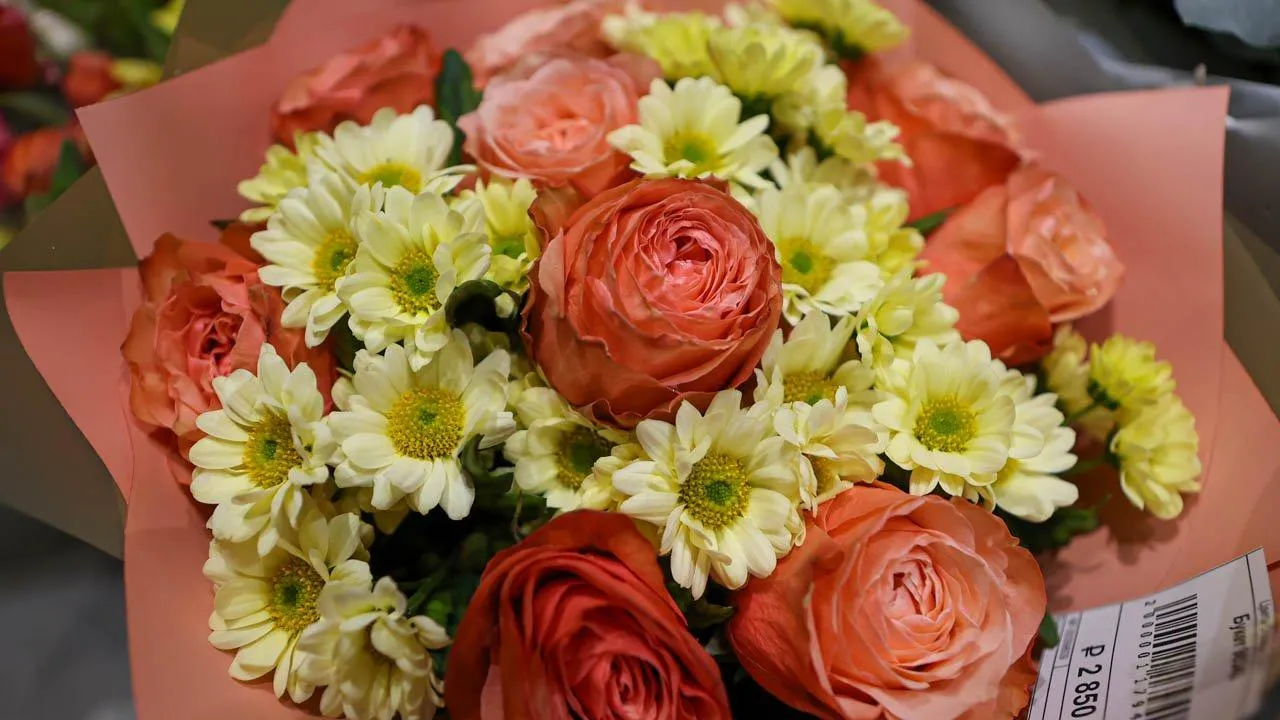 REGIONS/Роман Малышенко