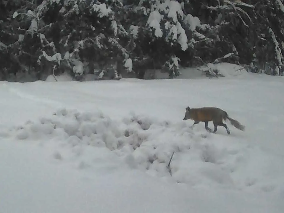 Фото: Василий Потапов
