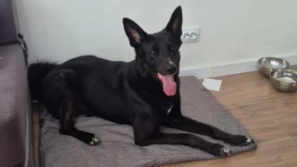 Фото: личный архив Екатерины Сергеевой