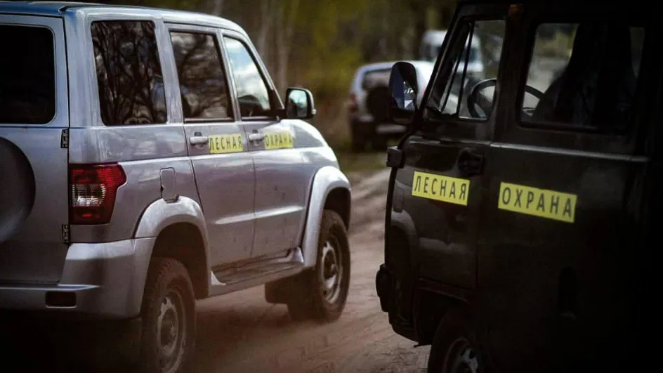 Фото: Комитет лесного хозяйства МО