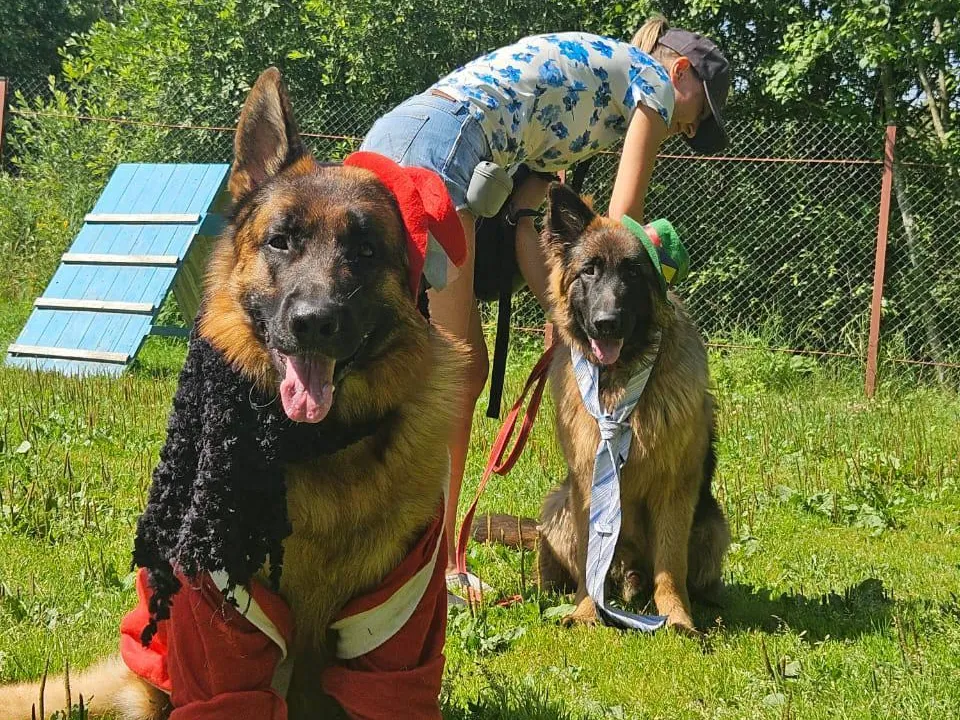 Фото: КЦСОР «Волоколамский»