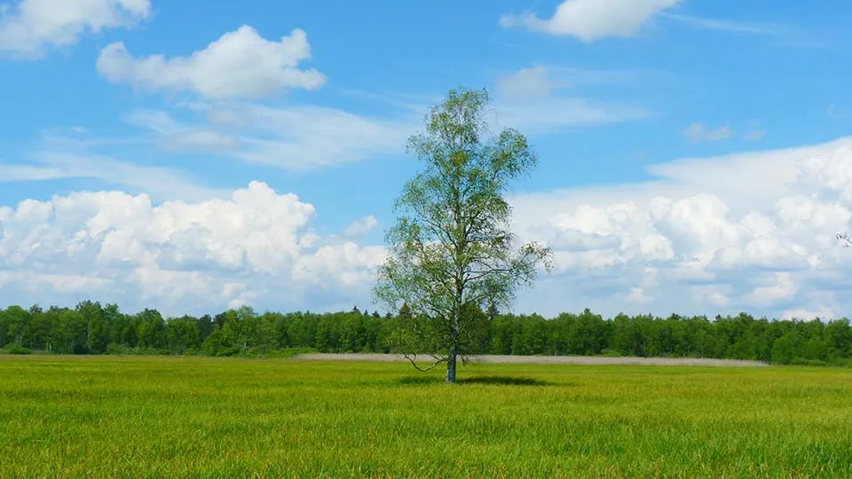 Фото: pxhere.com