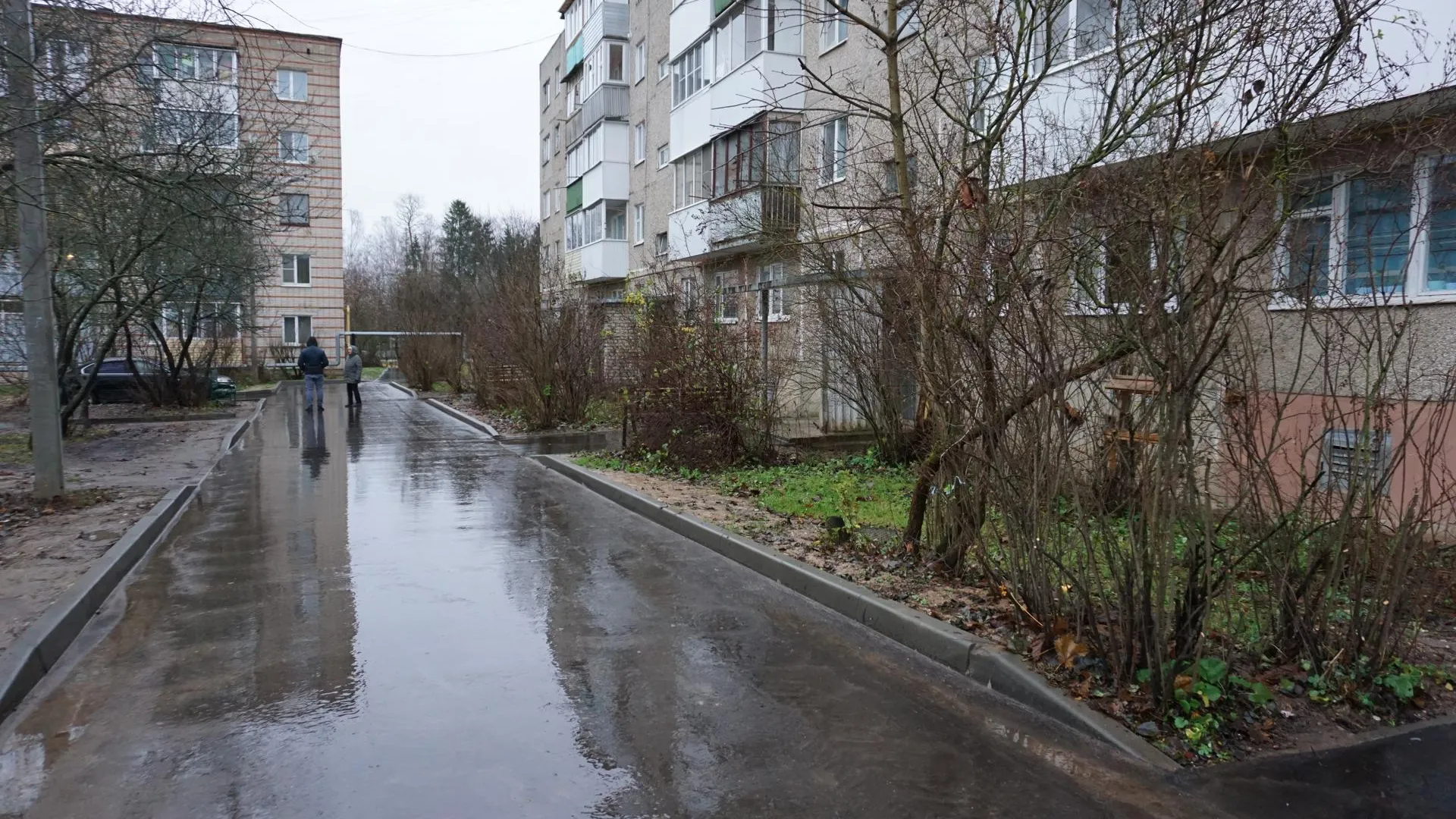 Екатерина Данилина