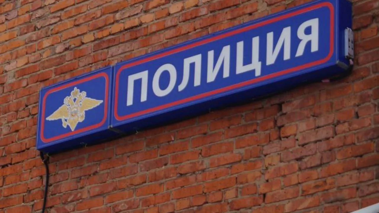 Фото: Пресс-служба ОМВД по Талдомскому г.о.