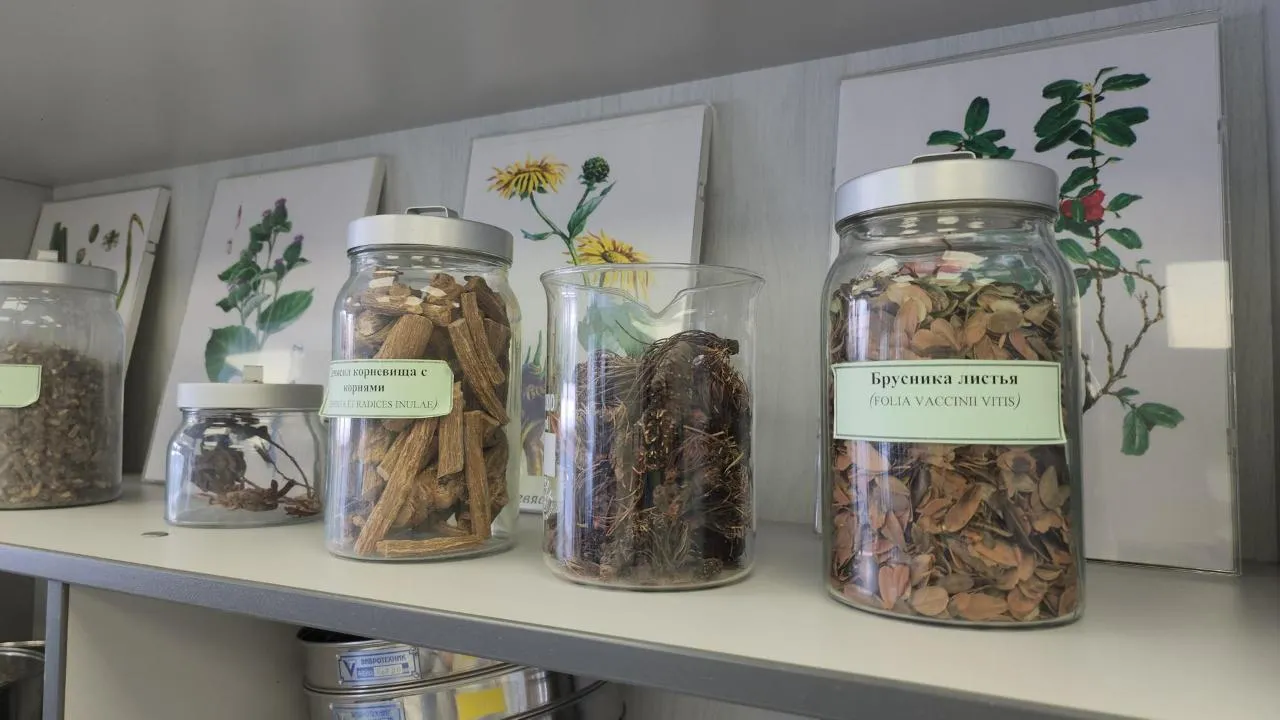 REGIONS/Кристина Ларина