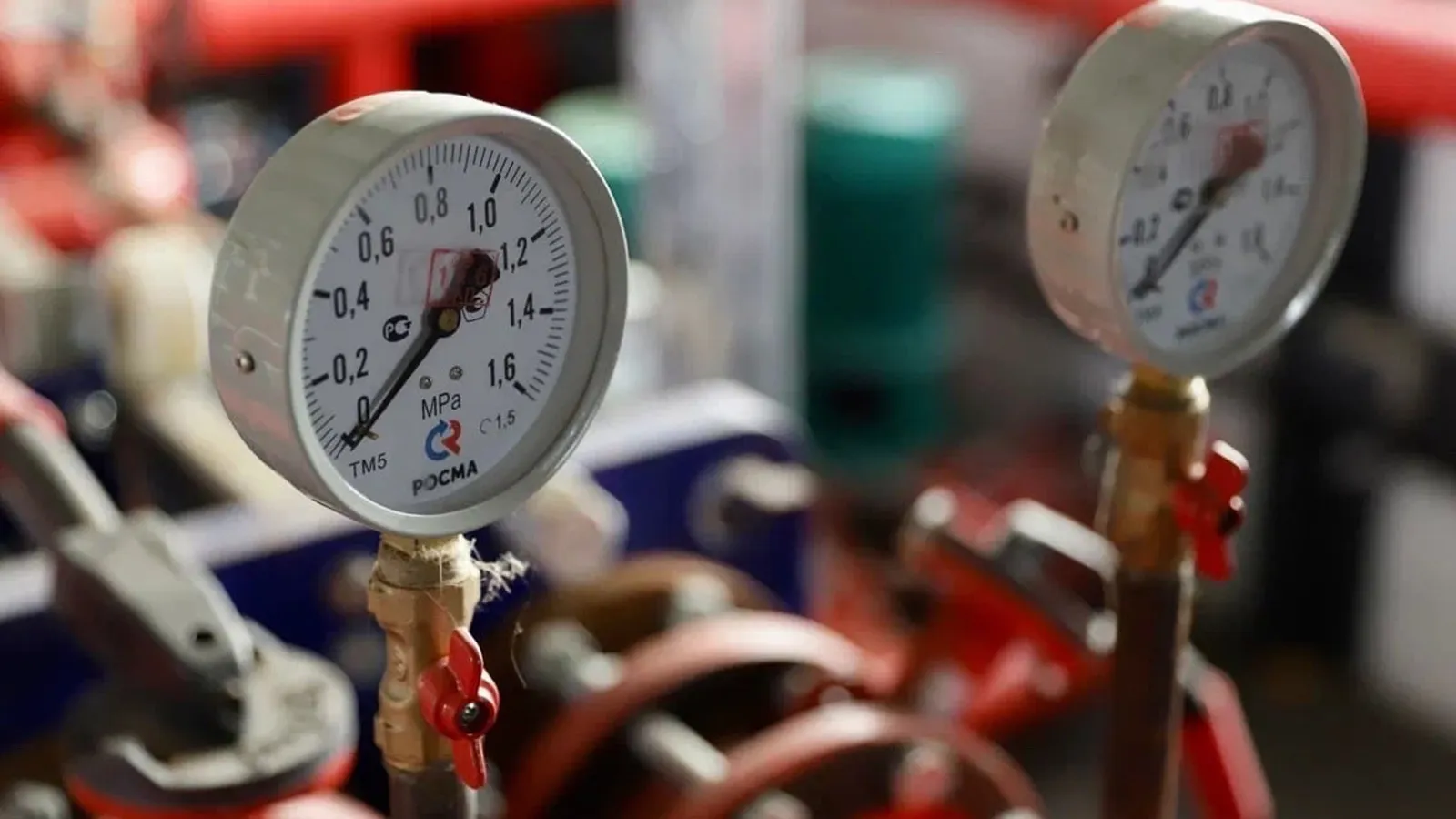 Фото: Пресс-служба администрации г.о. Ступино