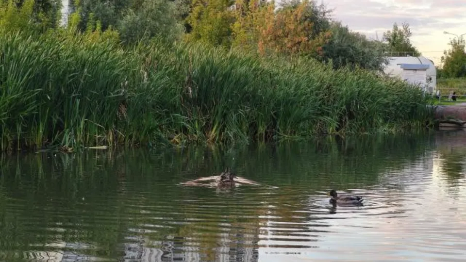 Фото: REGIONS/Анастасия Широкая