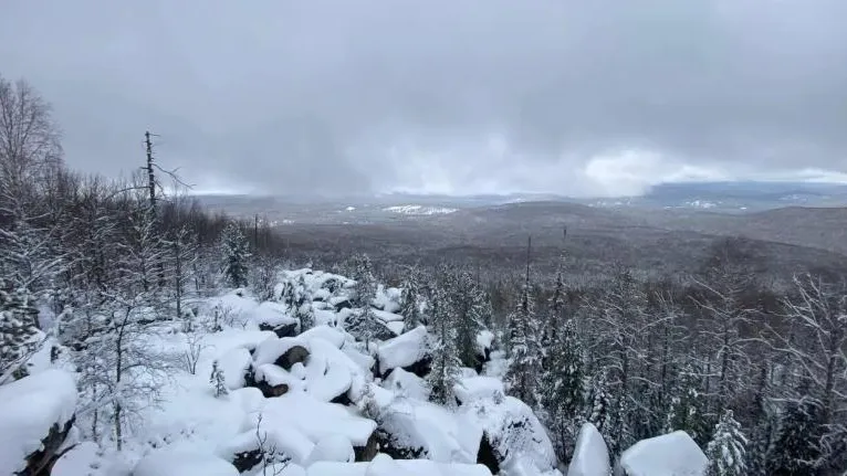 Пресс-служба Следственного комитета
