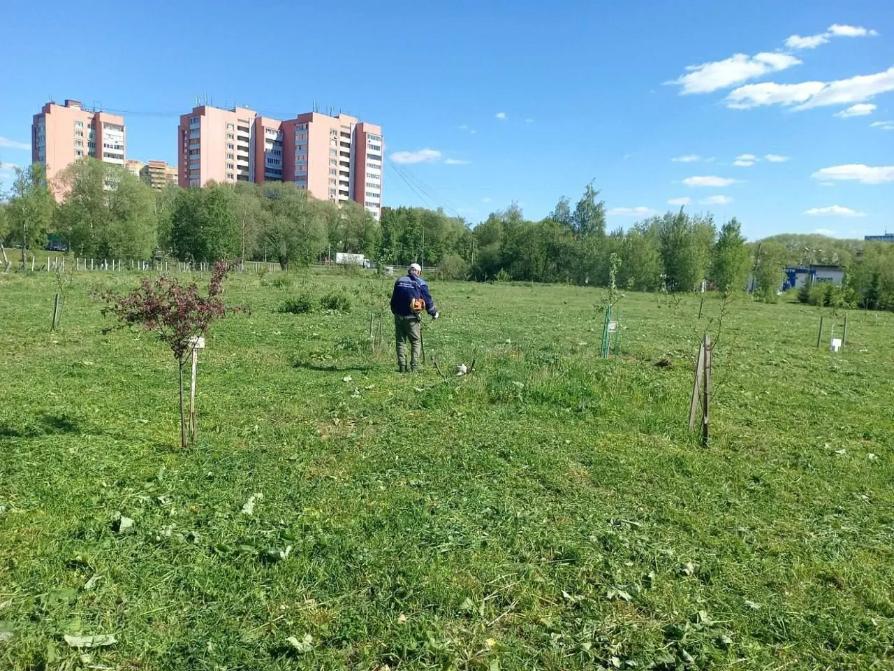 Пресс-служба городского округа Лобня