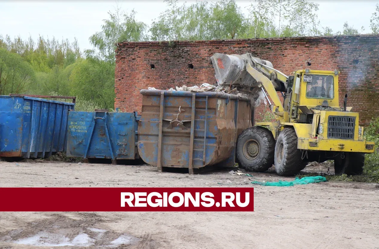 Фото: Regions / Василий Тремасов