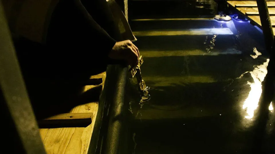 Фото: t.me/vos_glava