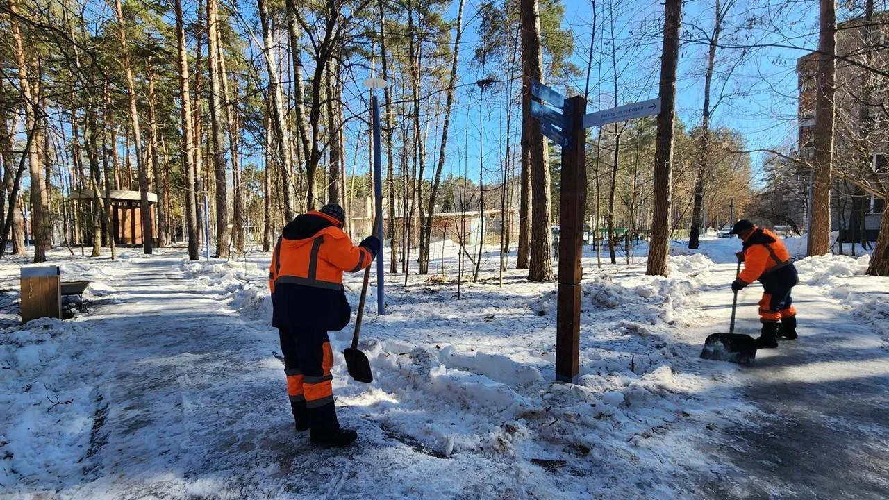 REGIONS/Анна Мороз