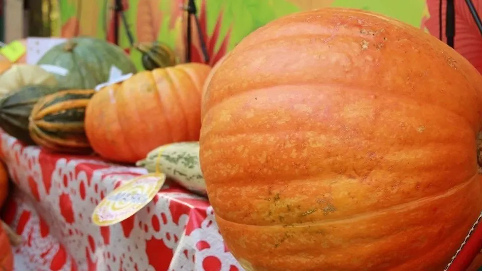 Фото: администрация городского округа Клин