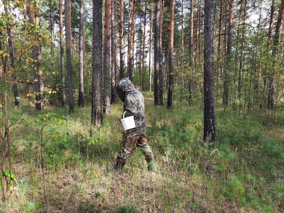 Фото: МедиаБанк Подмосковья/Михаил Мартыненко&nbsp;