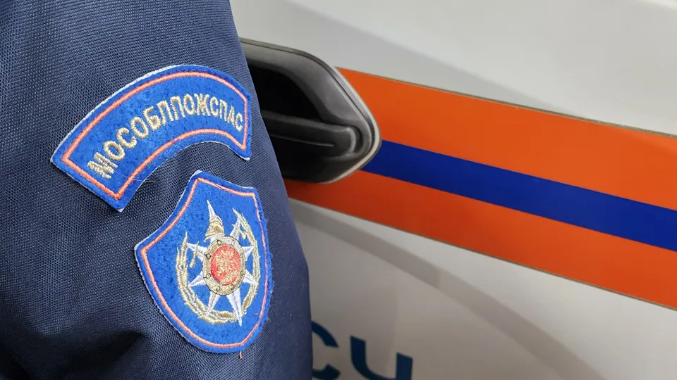 Фото: МедиаБанк Подмосковья/Юлия Андросова