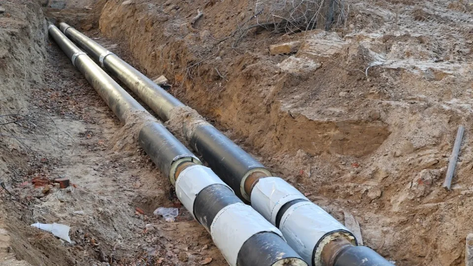 Фото: Алексей Грызлов