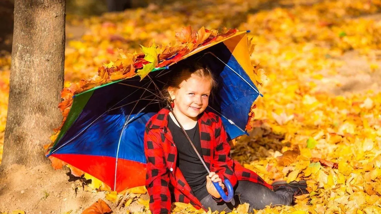 Министерство благоустройства Московской области