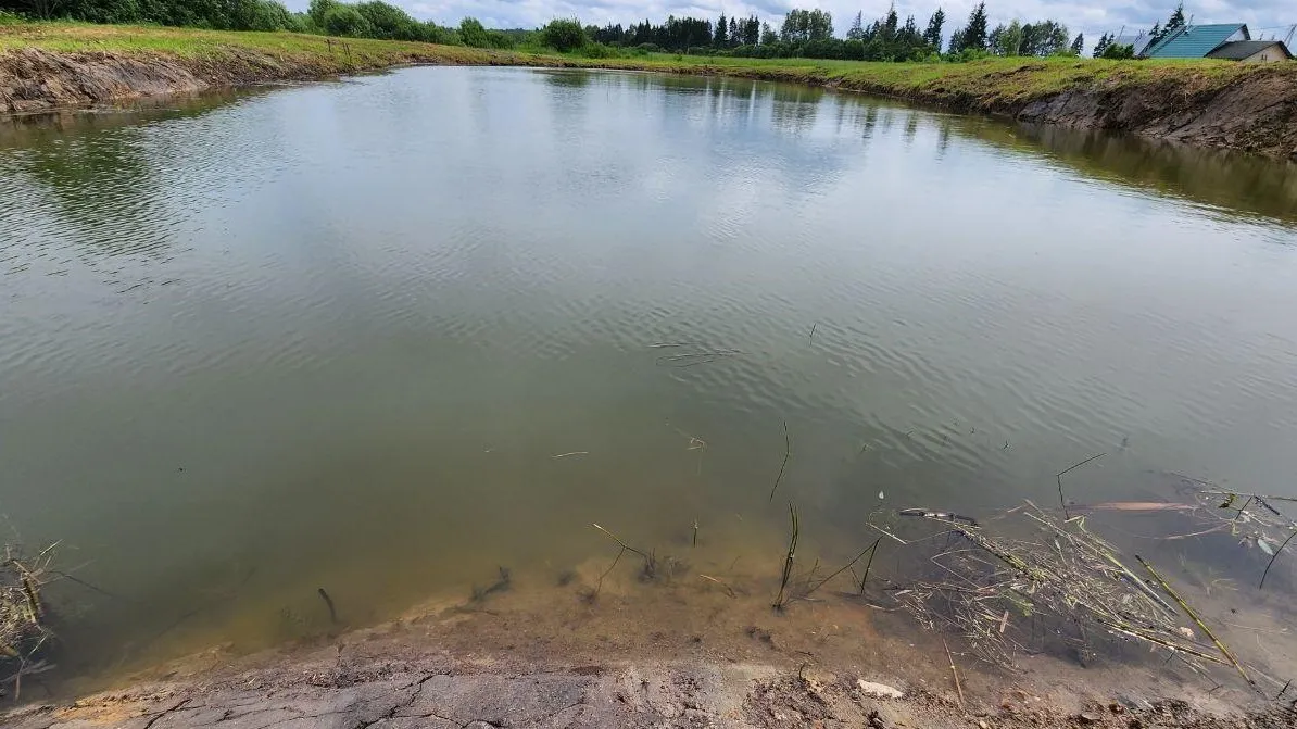 Фото: Яна Шаливская