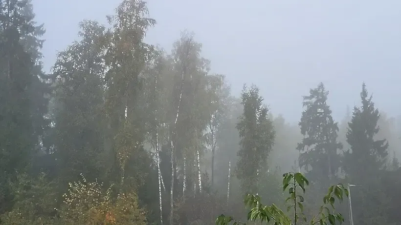 © РИАМО в Красногорске,   Мария Савосина