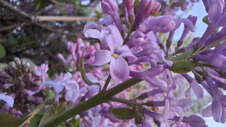 Фото: REGIONS/Юлия Габбасова