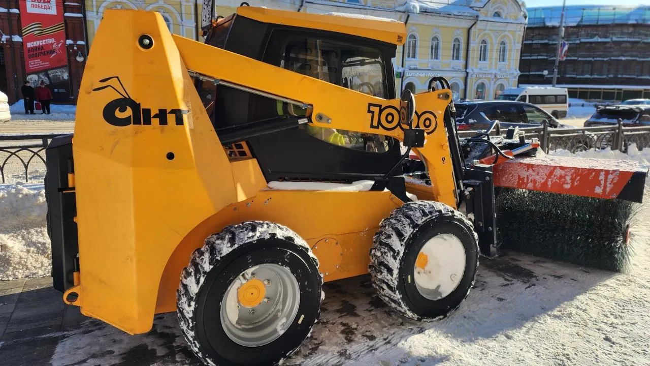 Елена Шумакова