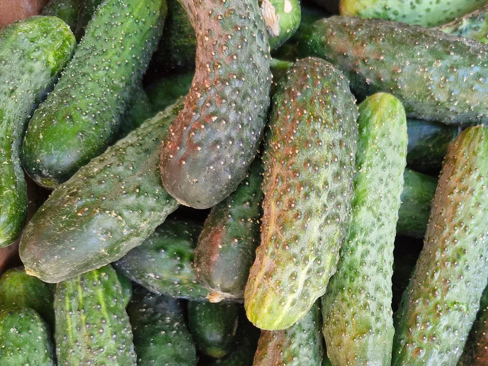 Фото: REGIONS/Наталия Надточая