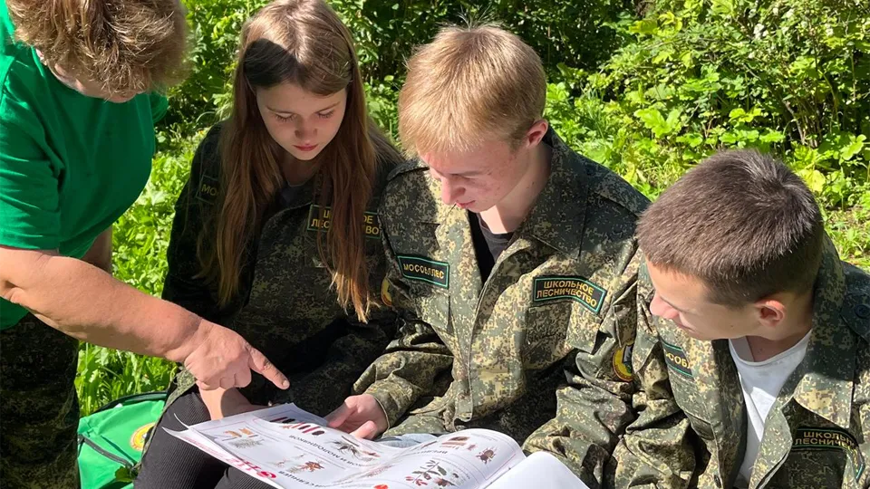 Фото: Комитет лесного хозяйства Московской области