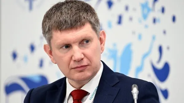Электронные визы для въезда могут запустить летом в России