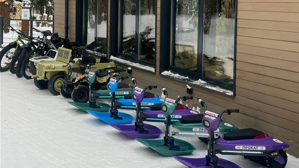 Фото: пресс-служба администрации м.о. Истра