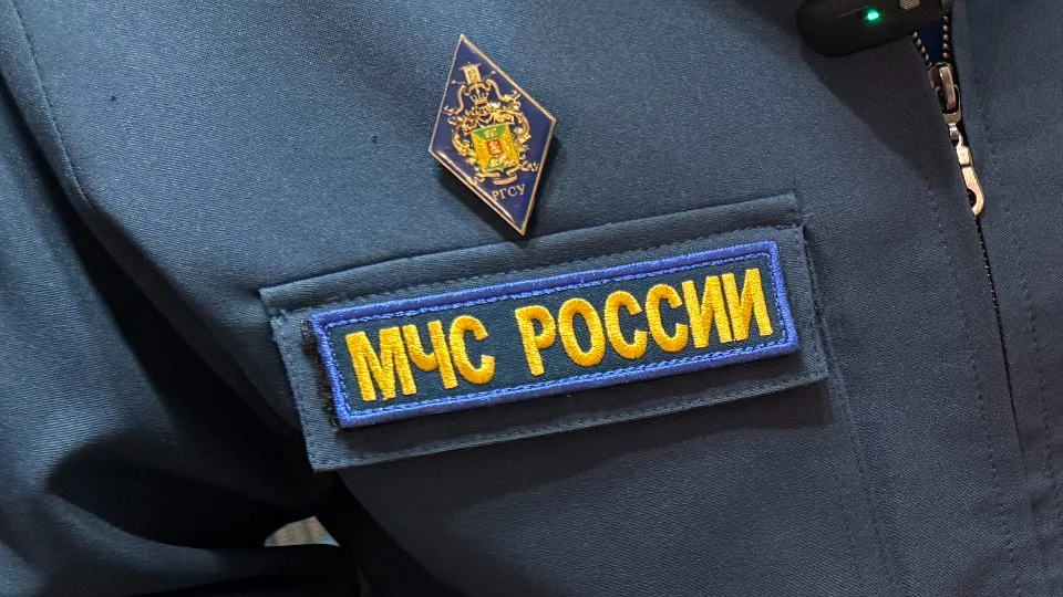 Фото: МедиаБанк Подмосковья/Анна Дука