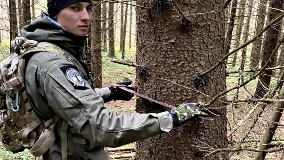 Фото: Комитет лесного хозяйства Московской области