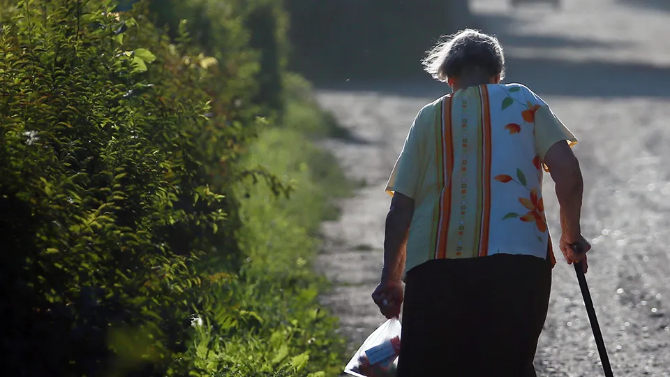 Фото: ТАСС/Владимир Смирнов