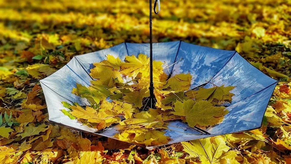 Фото: REGIONS/Алексей Селиверстов