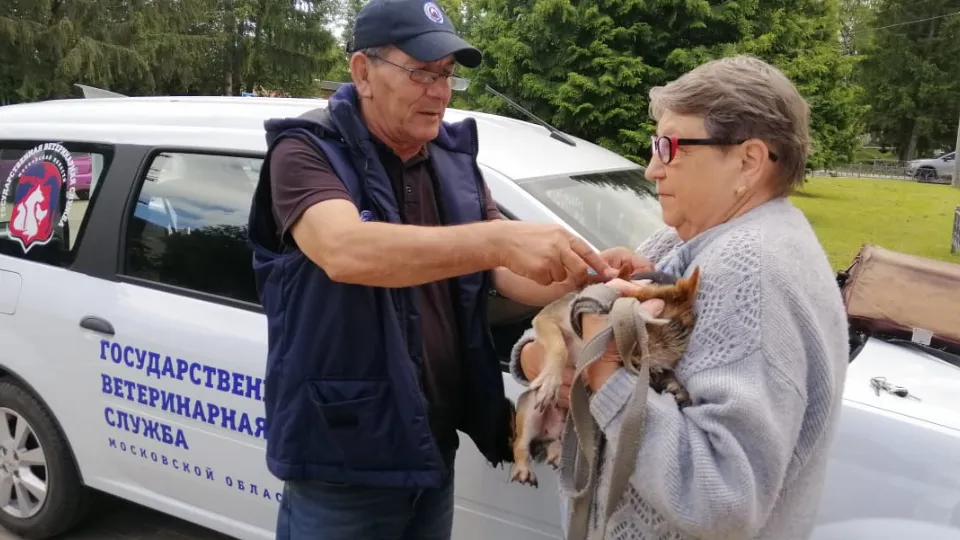 Фото: МедиаБанк Подмосковья/Анастасия Новак