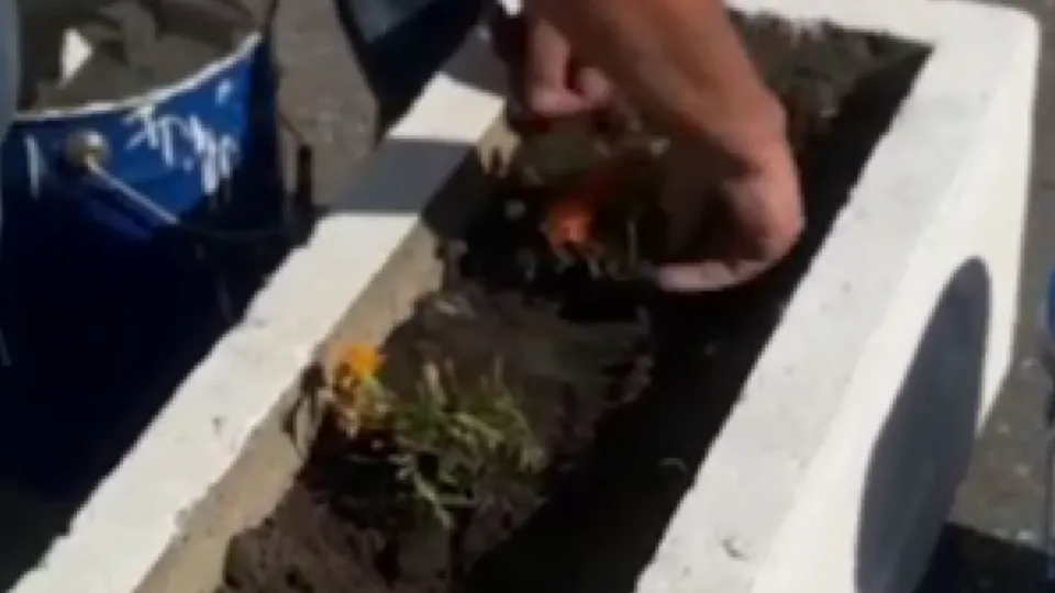 Фото: пресс-служба Администрации г. о. Черноголовка