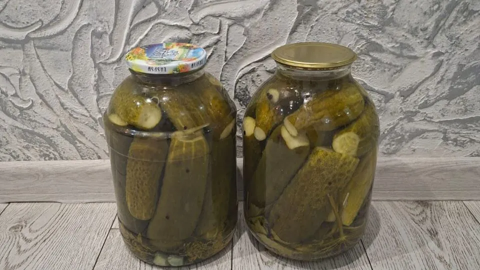 Фото: REGIONS/Юлия Габбасова