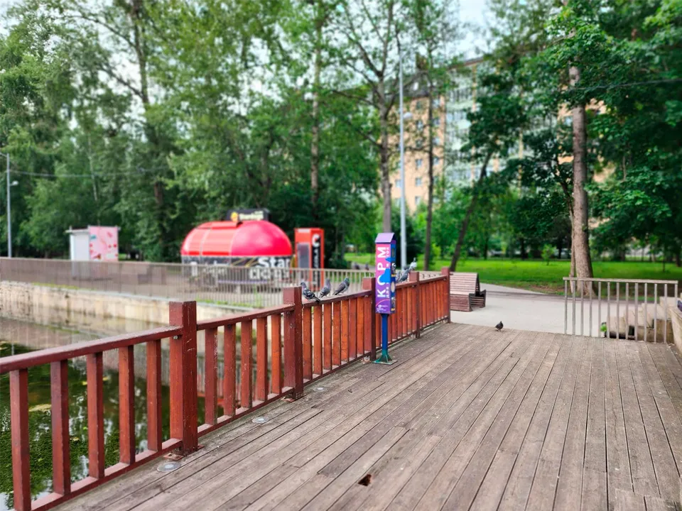 Фото: Роман Савельев