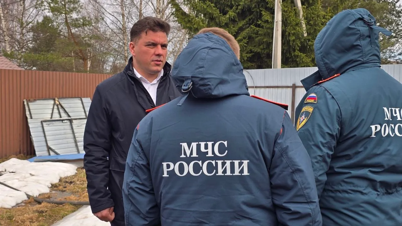 REGIONS/Яна Шаливская