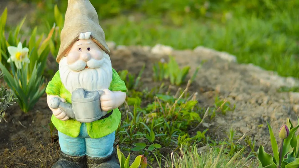 Фото: istockphoto.com/Irina Starikova