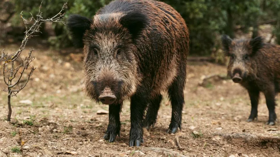 Фото: freepik.com