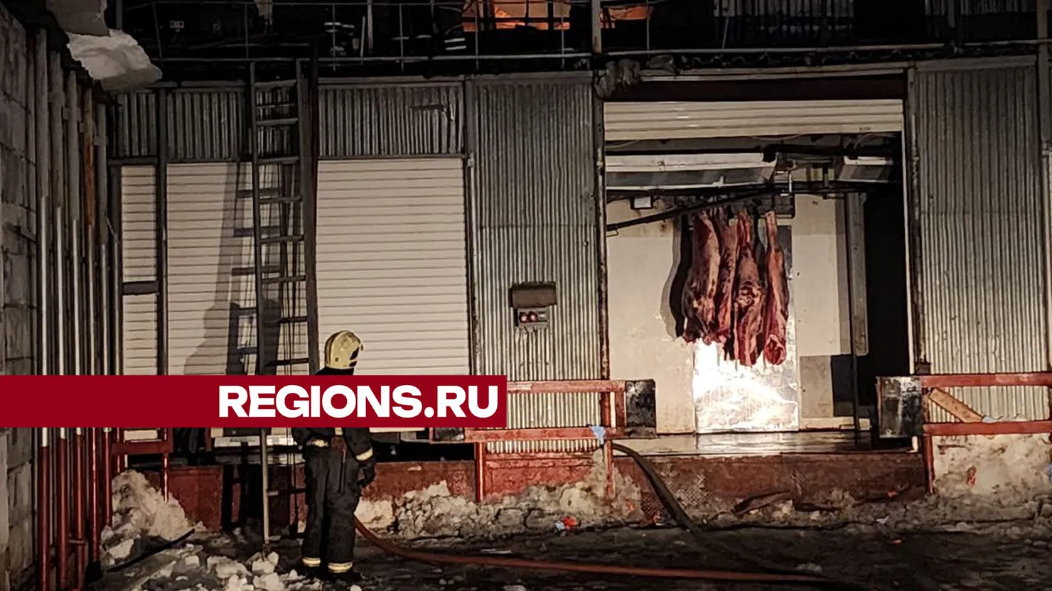 Фото: Роман Савельев