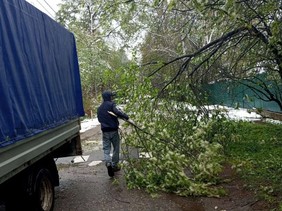 Фото: администрация Одинцовского округа