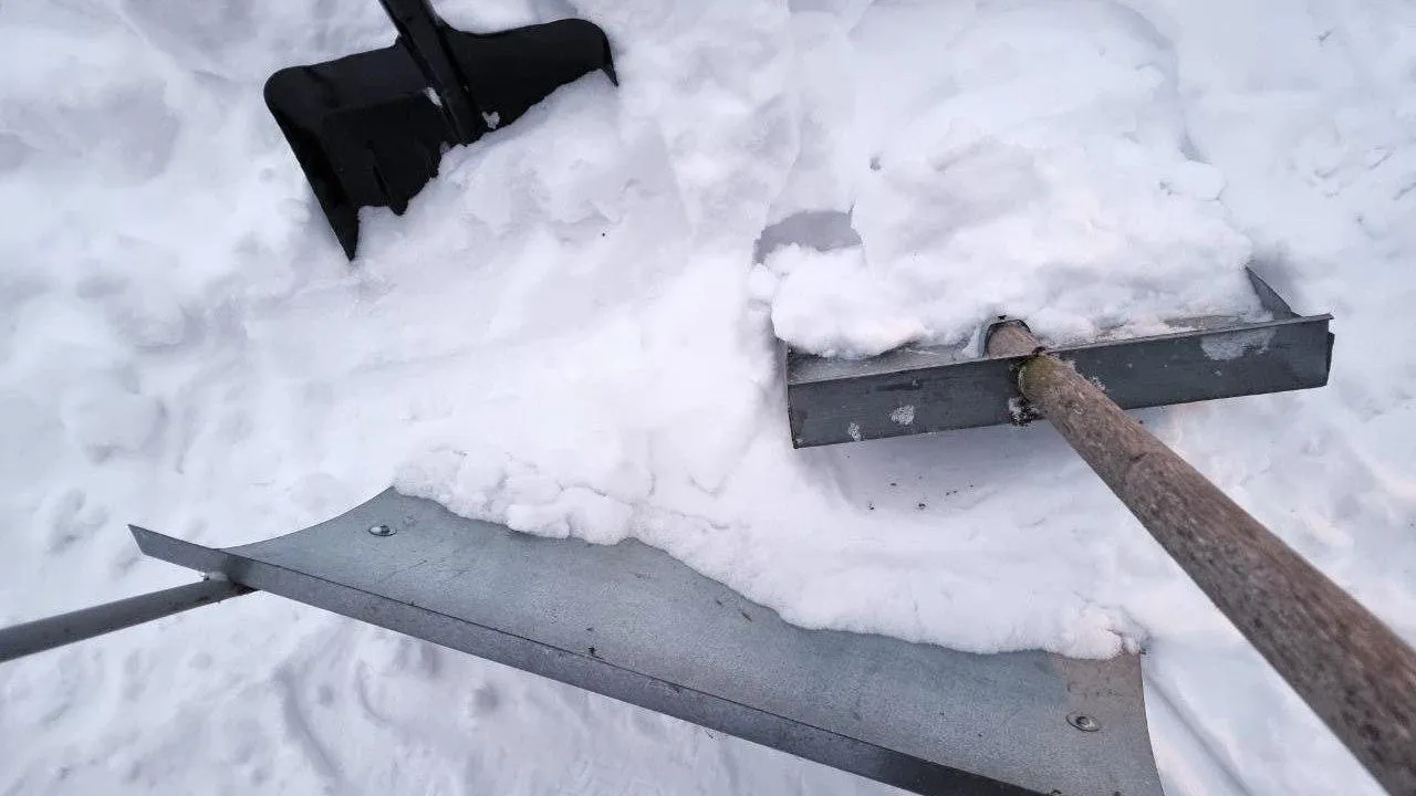 REGIONS/Юлия Алабина