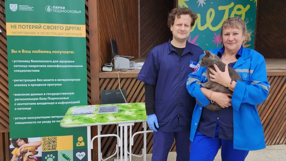 Фото: МедиаБанк Подмосковья/Ольга Сычева