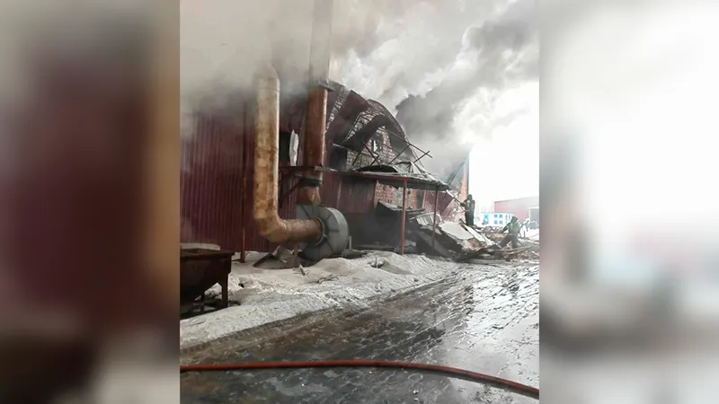В МЧС рассказали подробности взрыва на заводе в Рошале