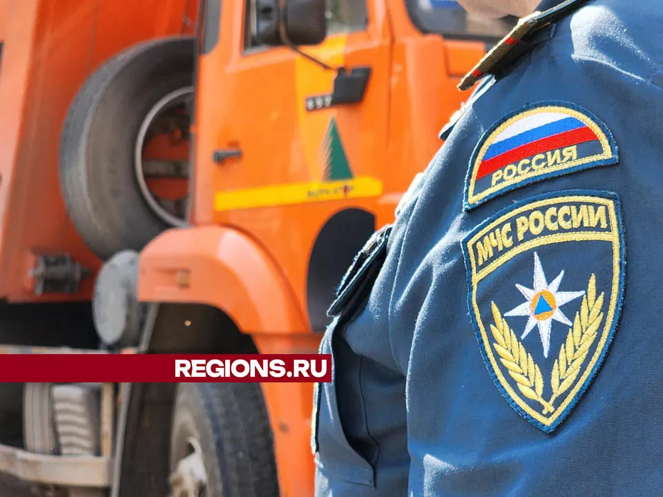 Фото: Валерия Тингаева