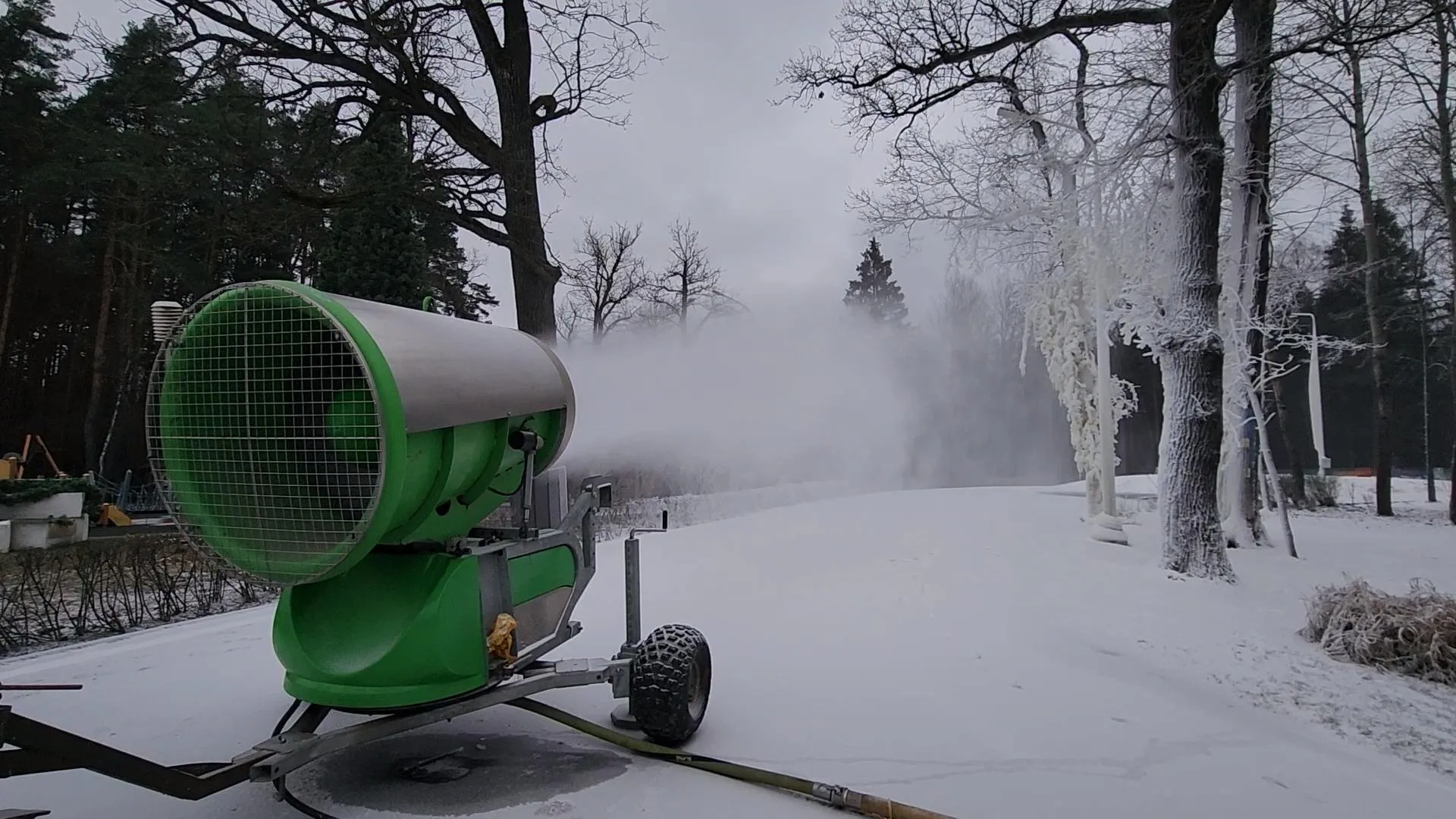 Сморкалов Никита