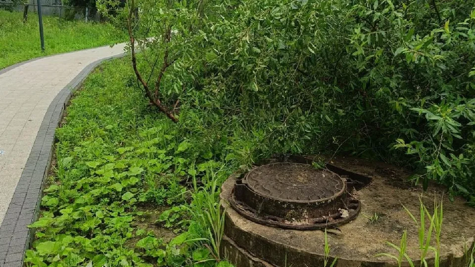 Фото: пресс-служба администрации м.о. Лотошино